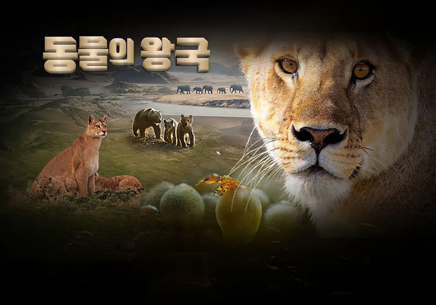 나이가들수록 재미있어지는거_2.webp