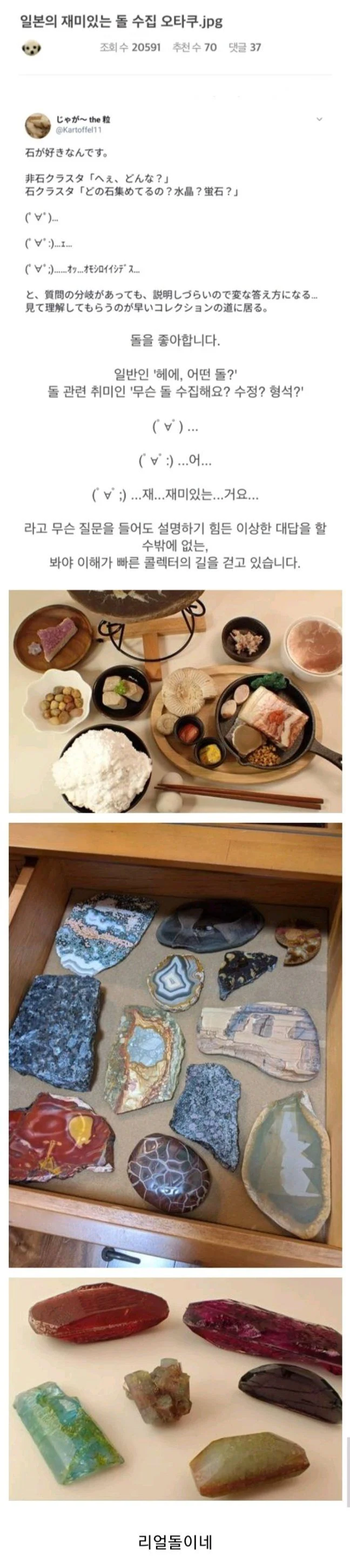 일본의 돌 수집가_1.webp