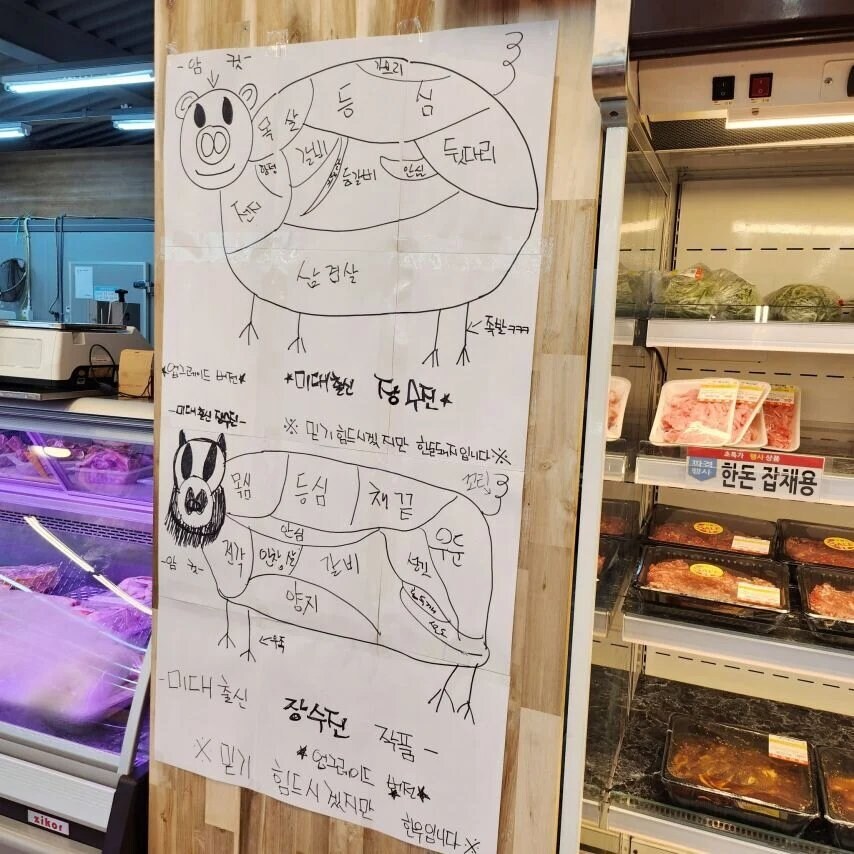 미대출신 장수진 믿기힘든 소돼지 그림_1.jpg