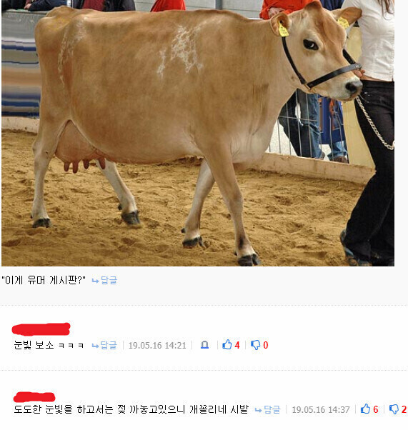 도도한 노출 암컷_1.jpg