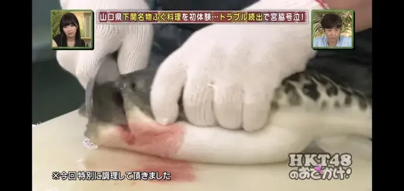 르세라핌 사쿠라의 일본활동 시절 보여줬던 이중성.JPG_1.webp