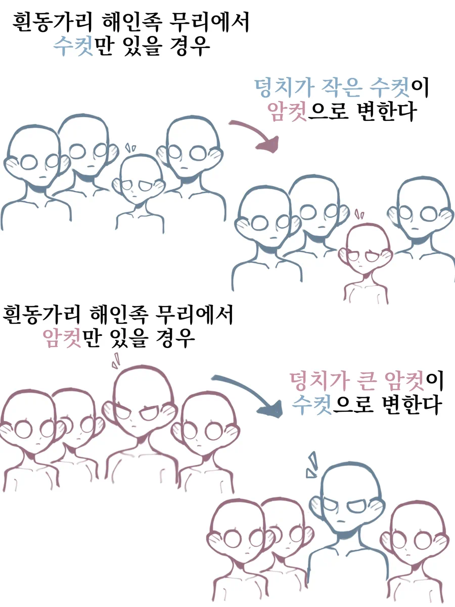 흰동가리 약혼녀 manhaW_4.webp