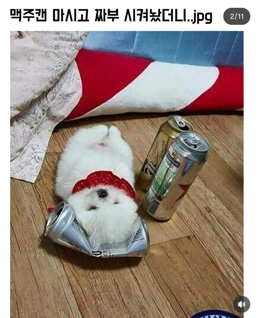 맥주캔 마시고 짜부 시켜놨더니_1.webp