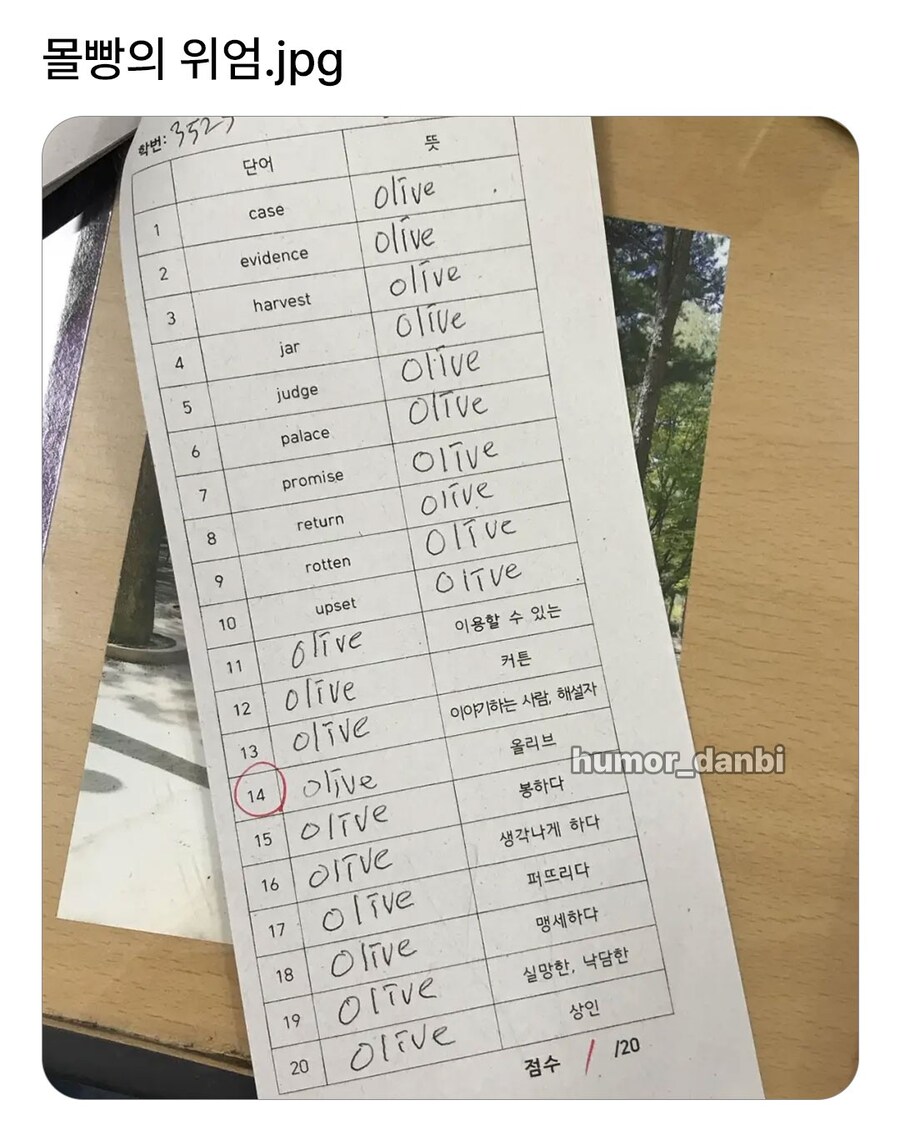 몰빵의 위엄.jpg_1.jpg