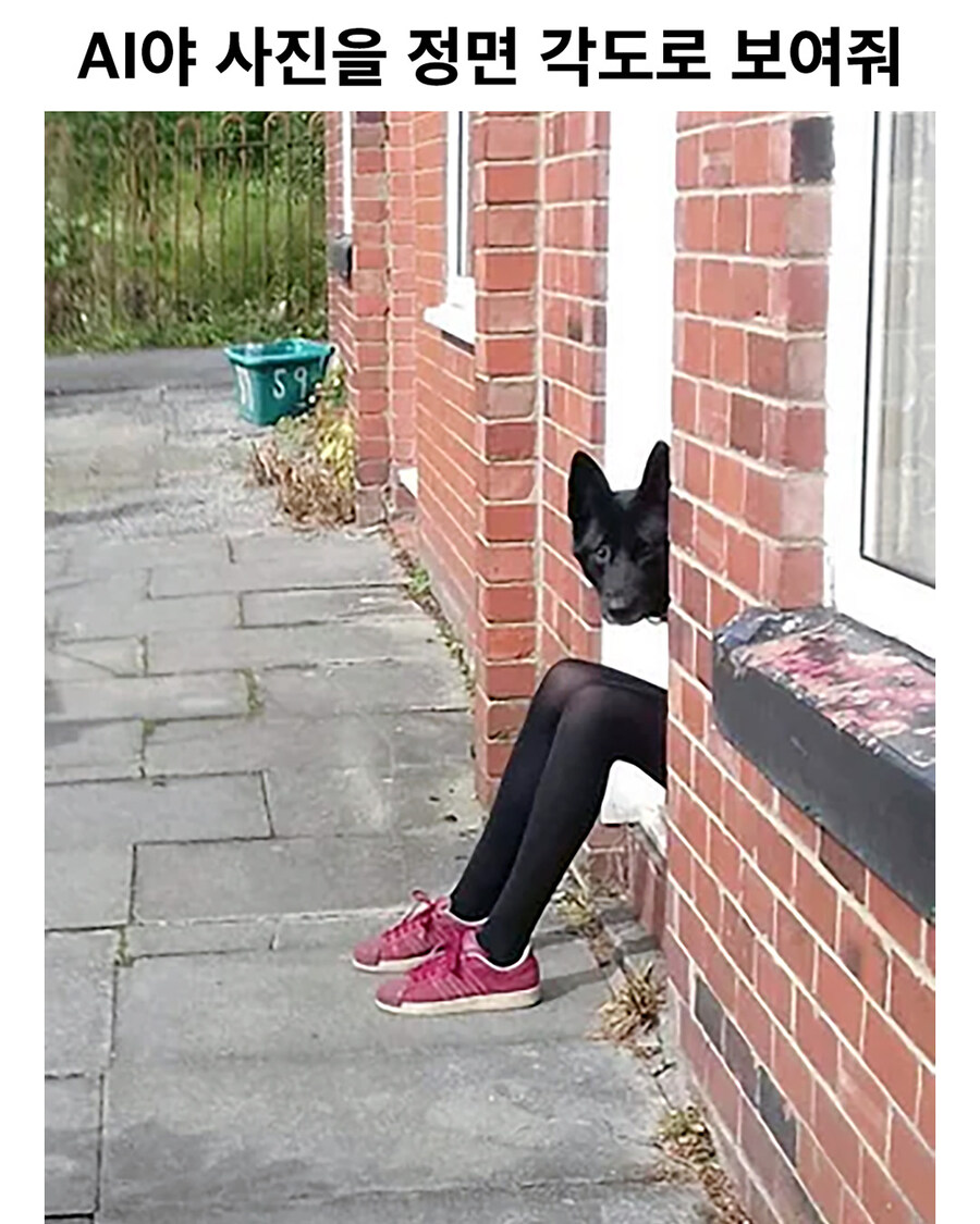 Ai야 사진을 정면 각도로 보여줘.jpg_1.jpg