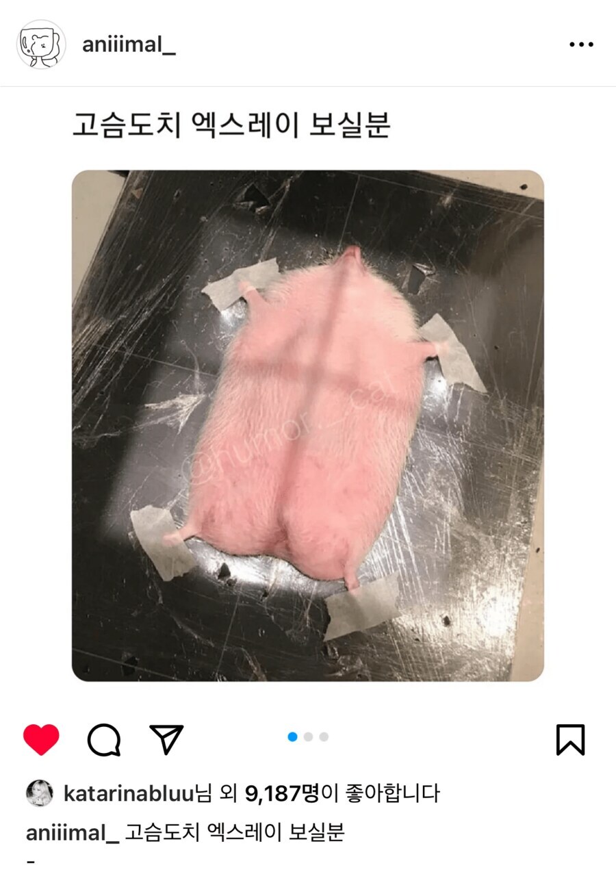 카리나가 좋아요 누른 인스타 글_1.jpg