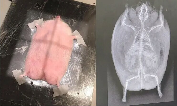 카리나가 좋아요 누른 인스타 글_2.jpg