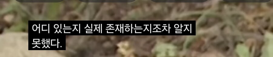 허준 관련 의외의 사실_7.jpg