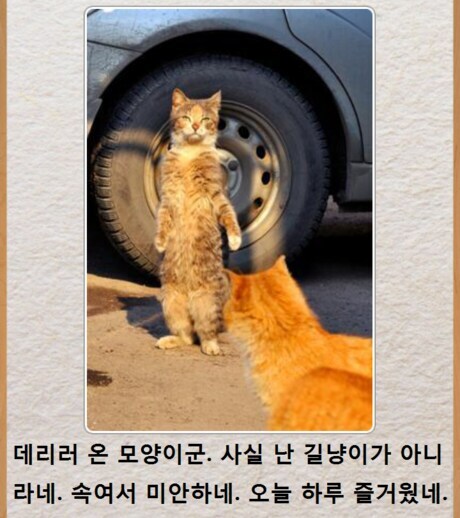 이봐 친구⋯ 그게 무슨 말이냥, 우린 영원한 동지라 맹세했잖냥⋯!.jpg_1.jpg