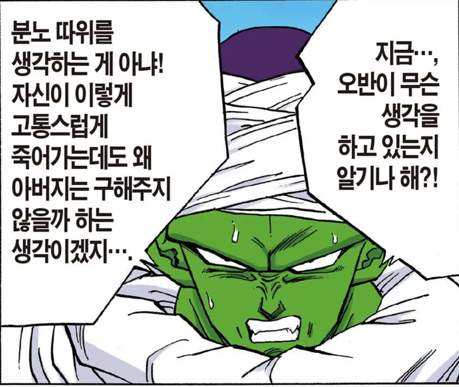 드래곤볼) 오공 까이는짤로 많이 쓰이지만 완전 틀린거_1.webp