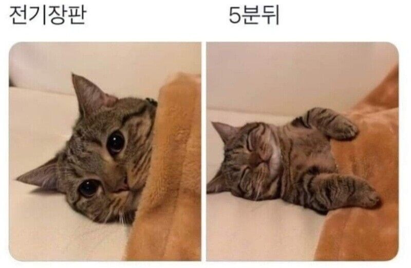 추운날, 전기장판에 누웠을때_1.jpg