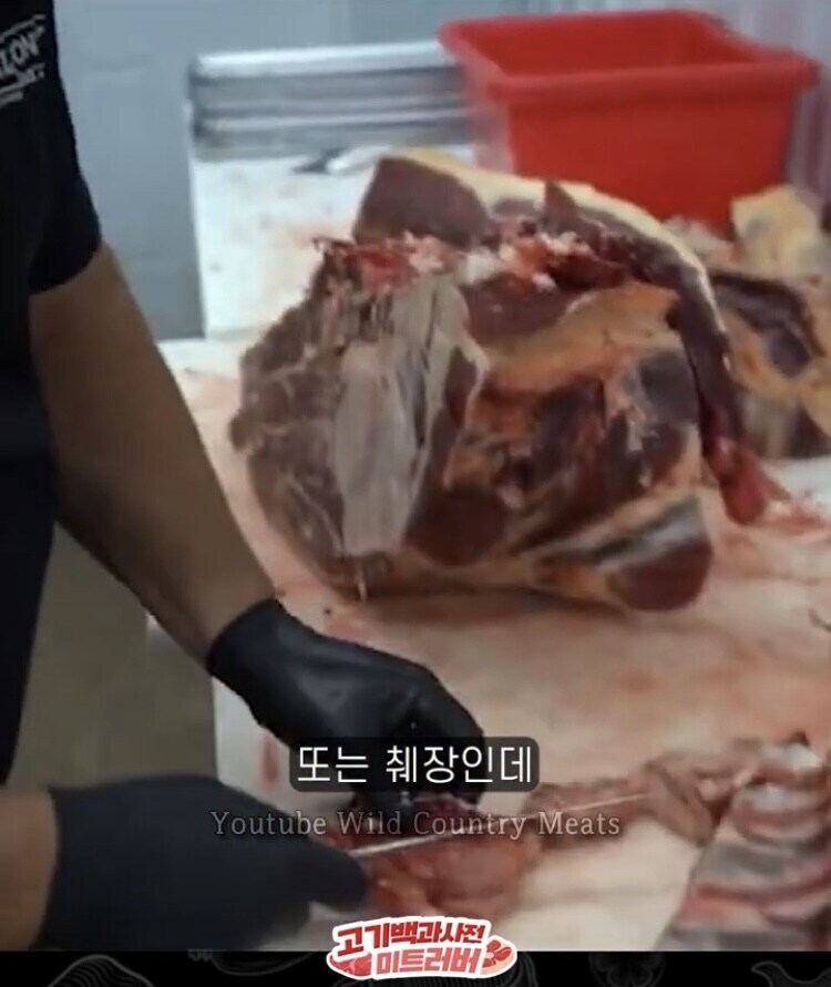 한국인들은 모른다는 진짜 맛있는 소 내장 부위_4.jpg