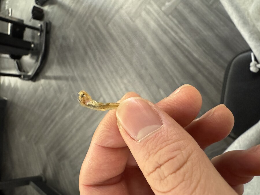 헬스장에 멸치새끼가 왜있냐 ㅋㅋㅋㅋ_1.jpg