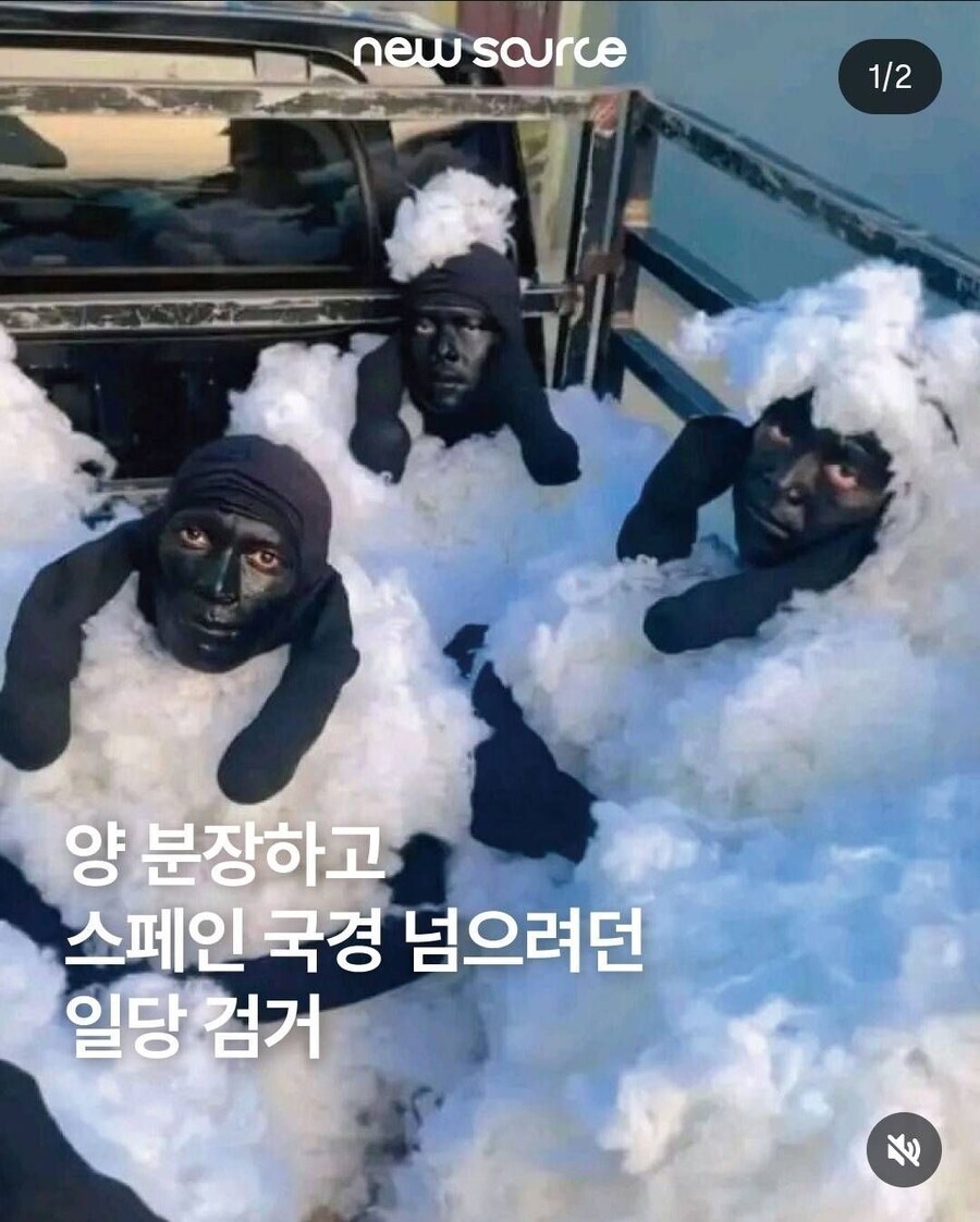 양이 오랑캐다!!!_1.jpg