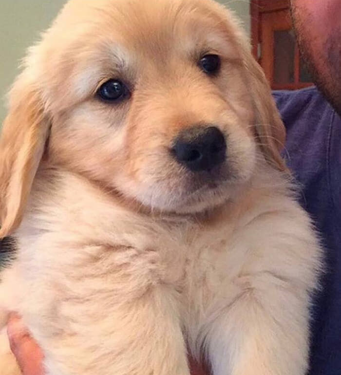 골댕이를 부르는 별명들_1.jpg