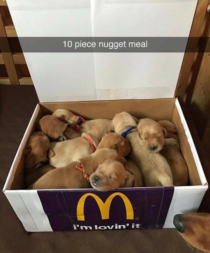 골댕이를 부르는 별명들_4.jpg