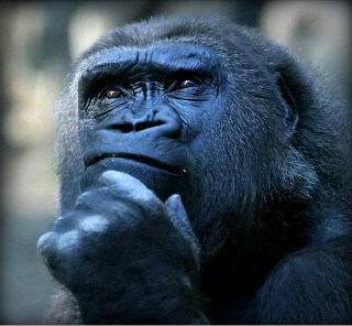 [프레데터: 죽음의 땅] 시리즈 최고 흥행 달성_7.jpg