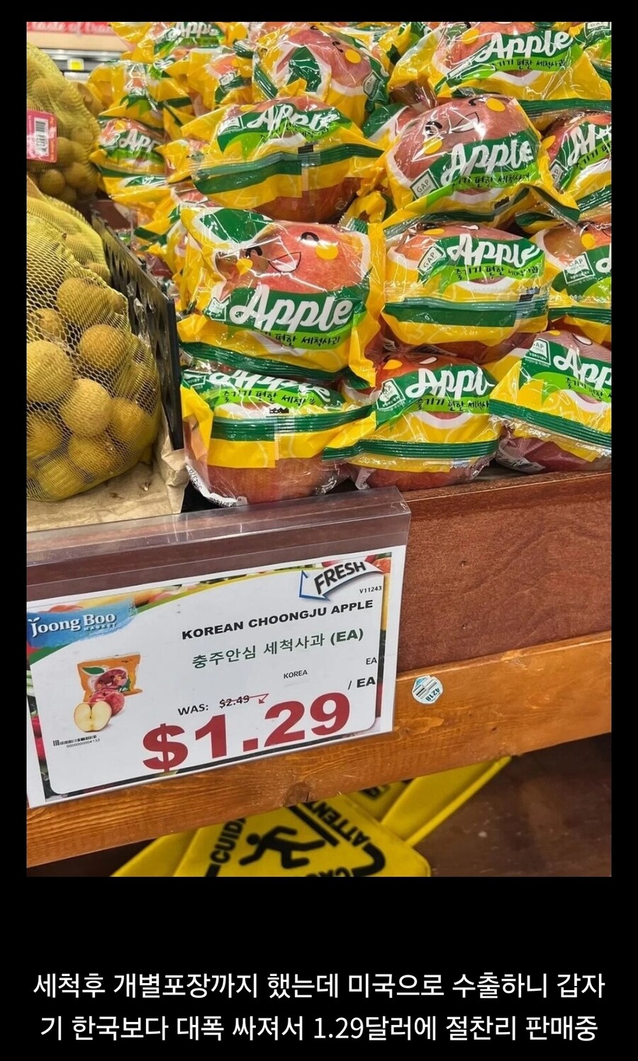 한국 지방시 하나를 뒤집었었다는 사진 한장_1.jpg