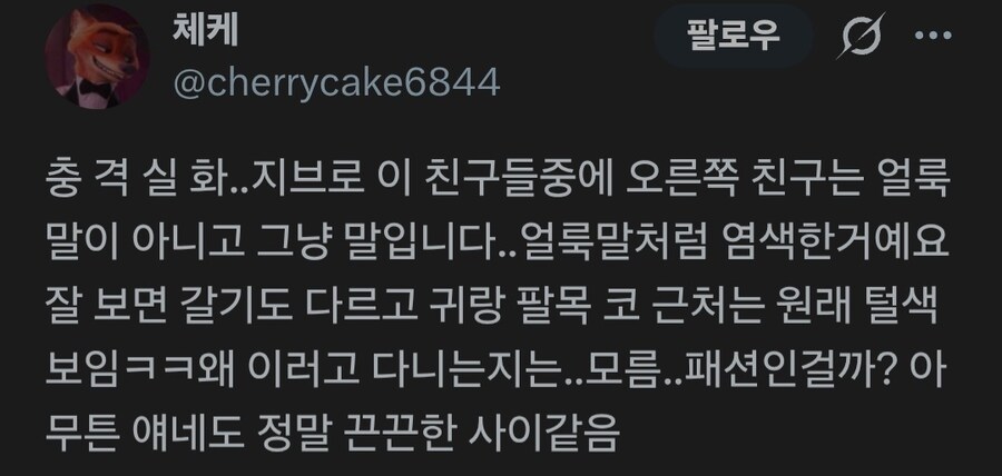 주토피아) 얼룩말 콤비의 비밀.tmi_1.jpg