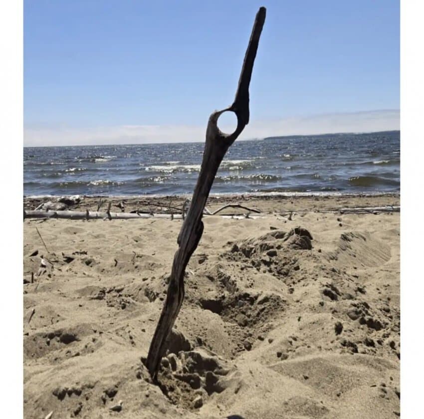 그냥 막대기보다 더 좋은 것_1.jpg