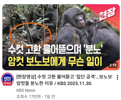 수컷 고환 물어뜯은 암컷.jpg_1.png