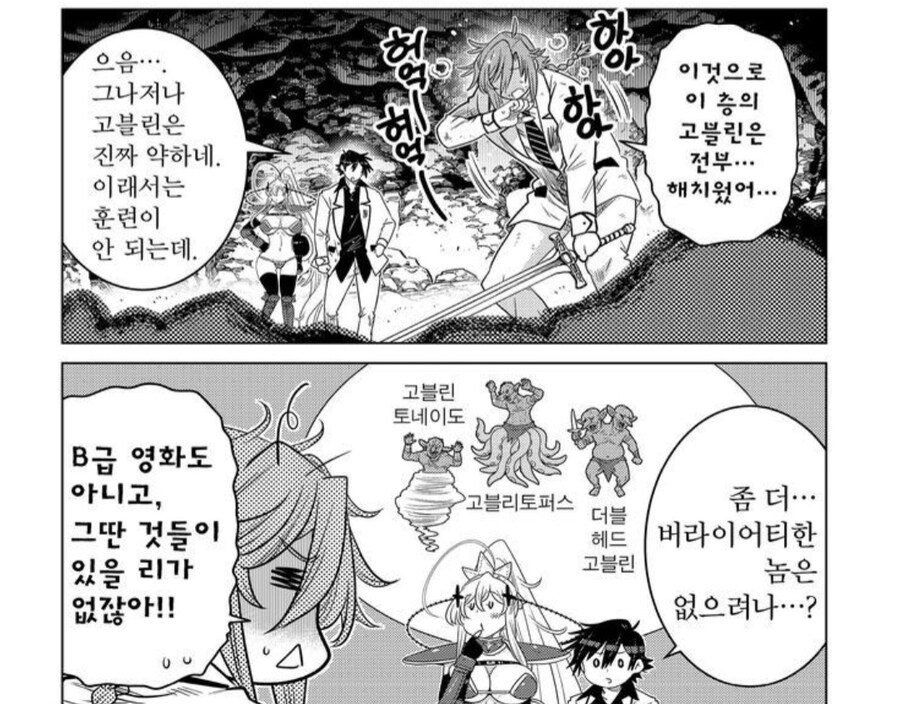 버라이어티한 고블린_1.jpg