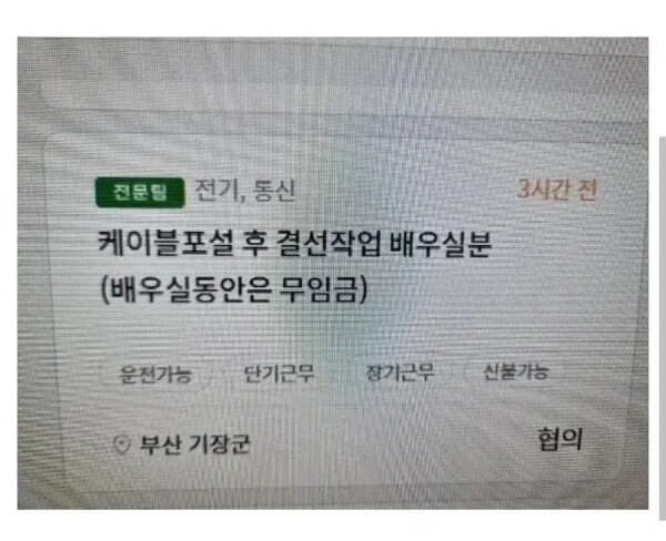 인턴이나 실습에서 월급 받는거 회사한테 미안하지 않냐는 동기가 있었음_1.jpg