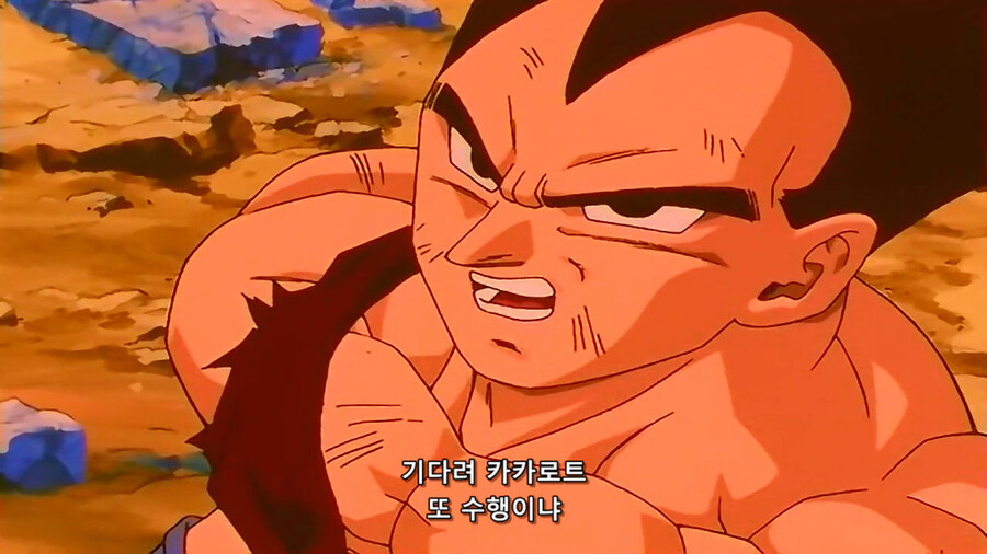 어릴때 마지막화 보고 받아들이는데 몇일이 걸린 애니 결말_6.jpg