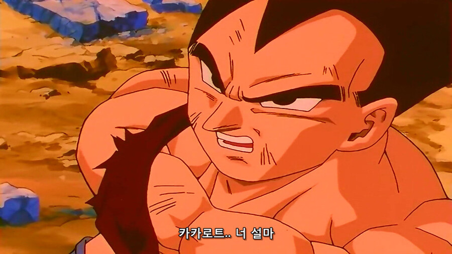 어릴때 마지막화 보고 받아들이는데 몇일이 걸린 애니 결말_10.jpg