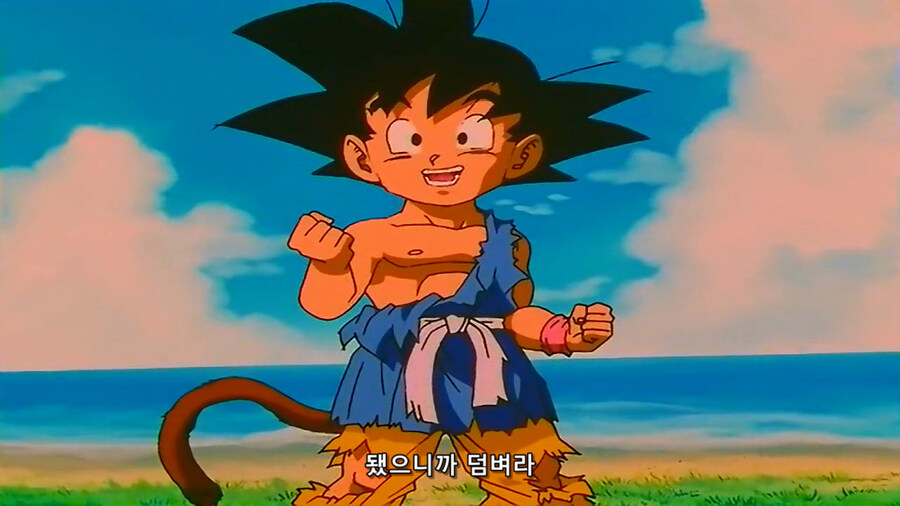 어릴때 마지막화 보고 받아들이는데 몇일이 걸린 애니 결말_46.jpg