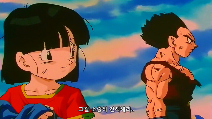어릴때 마지막화 보고 받아들이는데 몇일이 걸린 애니 결말_67.jpg