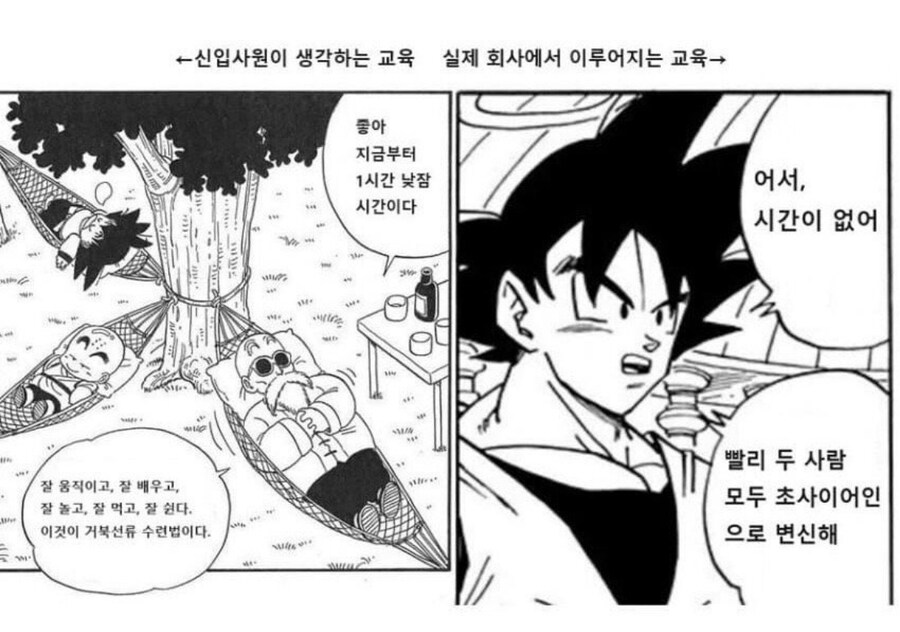 신입사원이 생각하는 교육 vs 실제로 이루어지는 교육_1.jpg