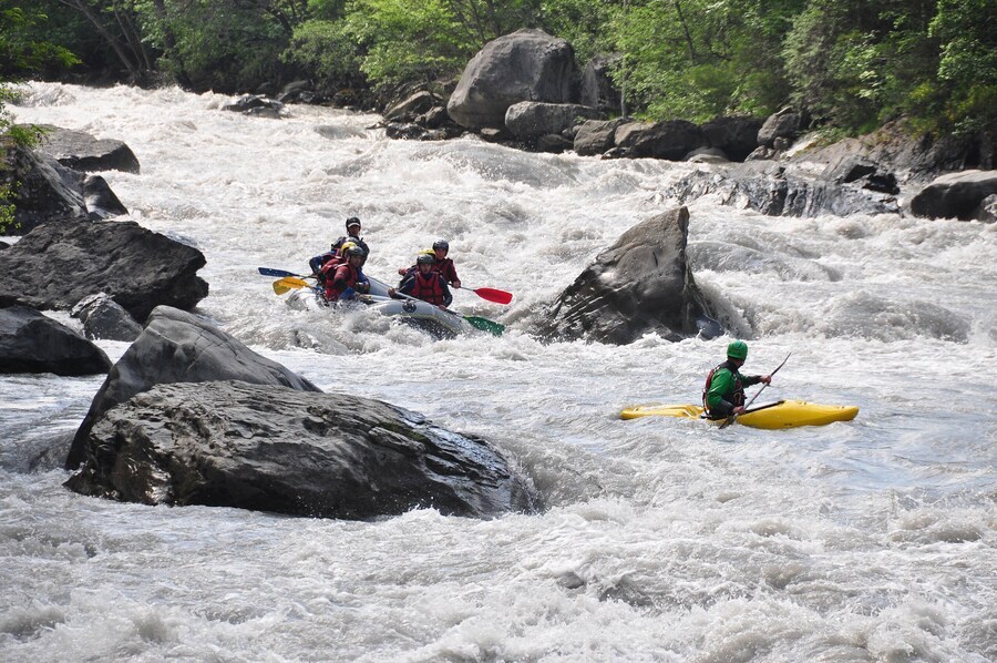왜 놈의 시신을 끝까지 확인하지 않았지?_2.jpg