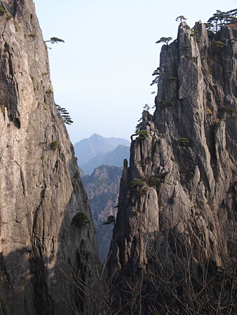 왜 놈의 시신을 끝까지 확인하지 않았지?_3.jpg