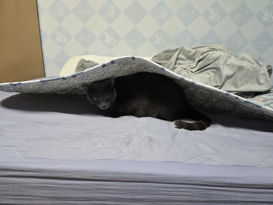 코이츠 자리 선정 이상한 ㅋㅋ_1.jpg