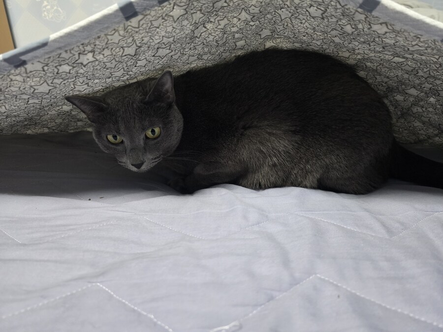 코이츠 자리 선정 이상한 ㅋㅋ_2.jpg