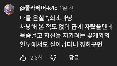 꽃게와의 전투 후기가 가득한 EBS 다큐_10.png