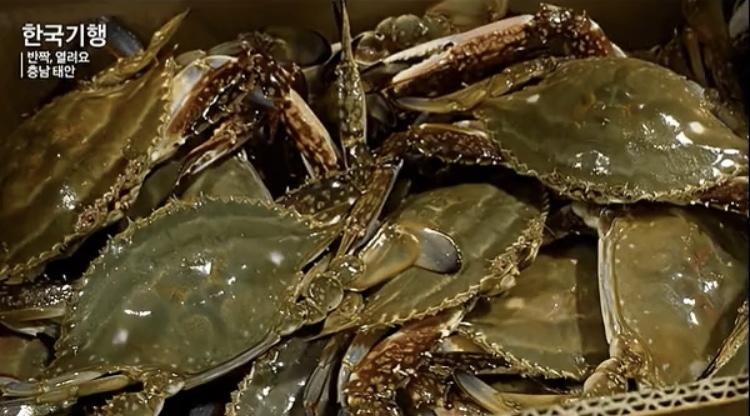 구매하는 순간 ufc가 벌어지는 식재료_1.jpg