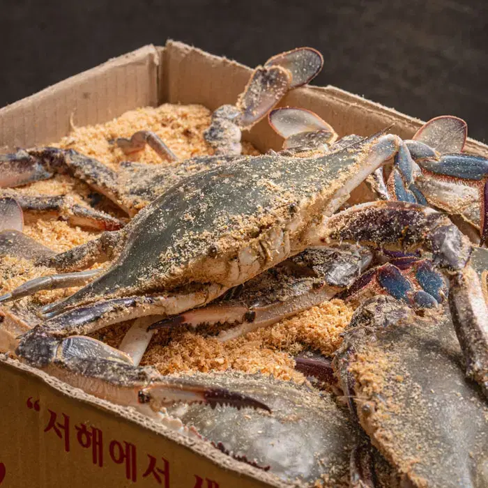 구매하는 순간 ufc가 벌어지는 식재료_7.webp