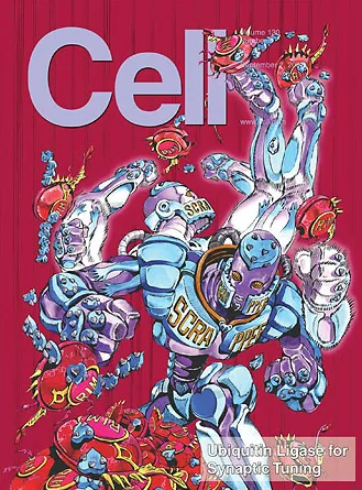 죠죠) 표지 논문의 특권_1.webp