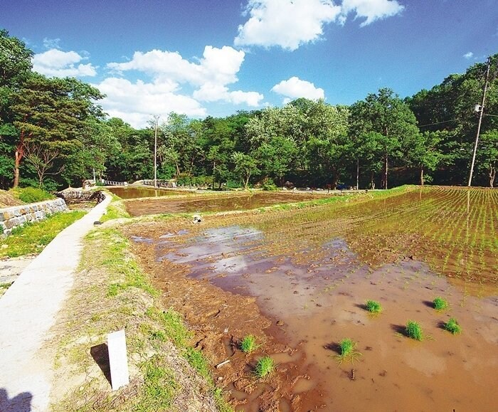 도봉구 시골마을_3.jpg