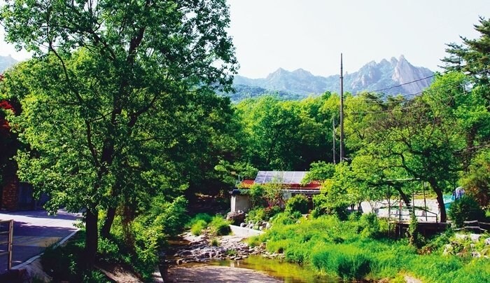 도봉구 시골마을_4.jpg