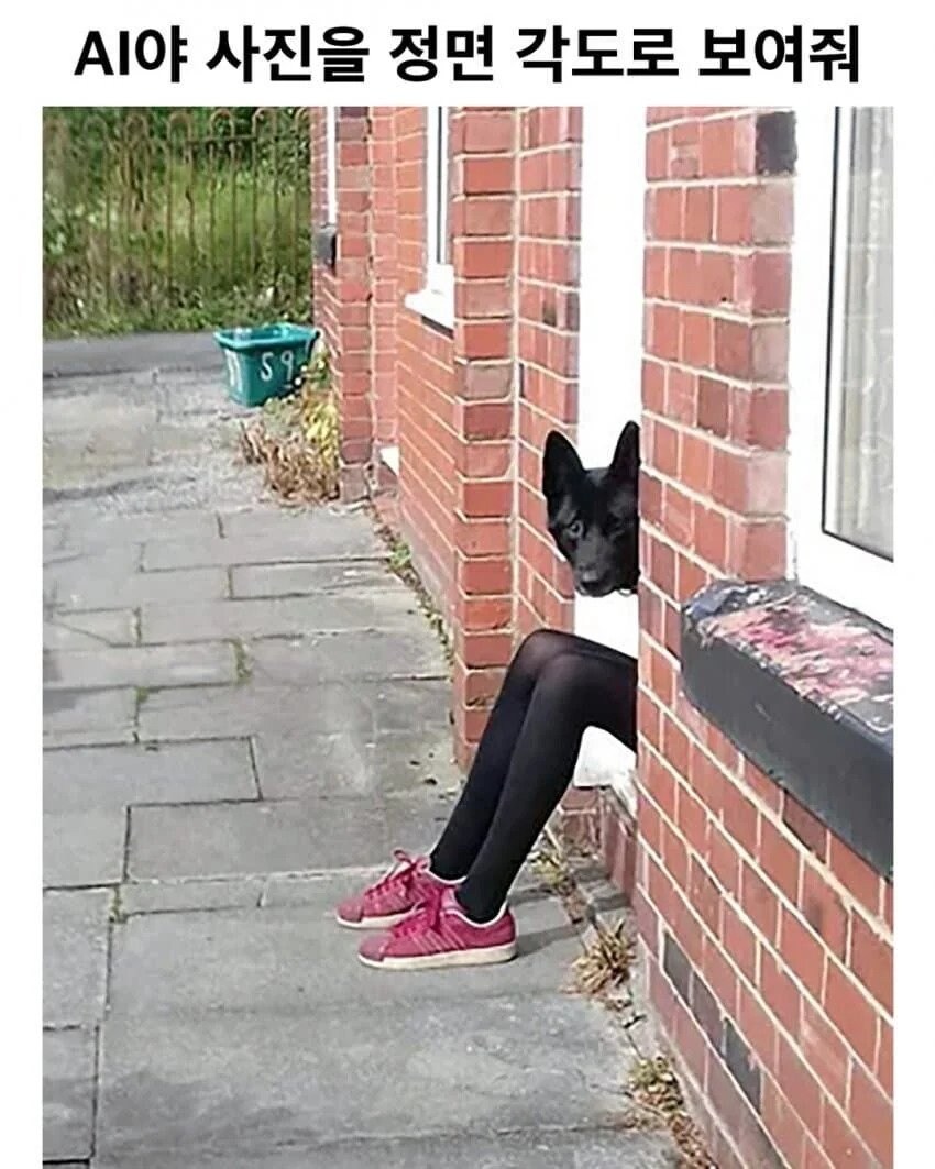 AI야 사진을 정면 각도로 보여줘_1.jpg