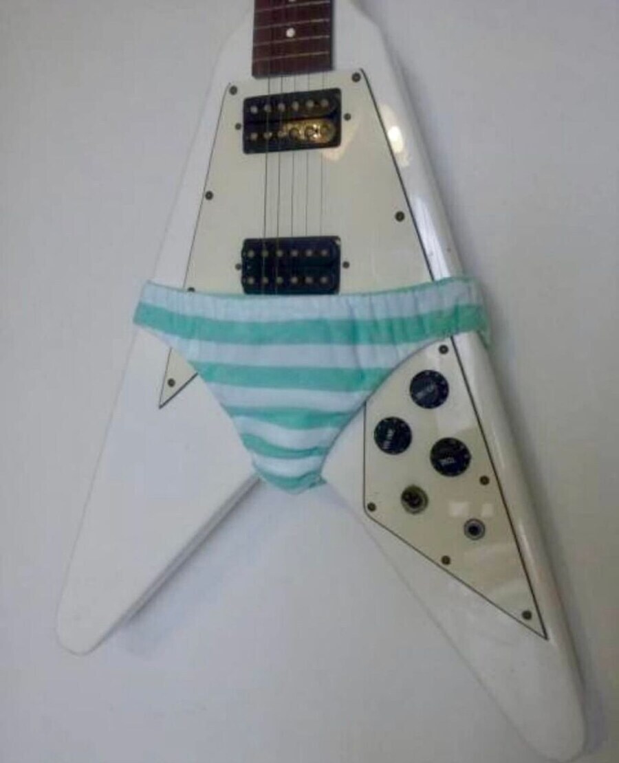 골반 좁은 기타는 무슨 팬티 입히냐?_2.jpg