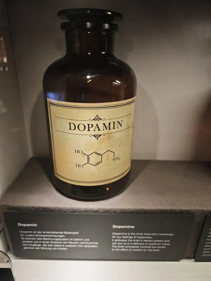 도파민 나오는 글임 추천좀_1.webp