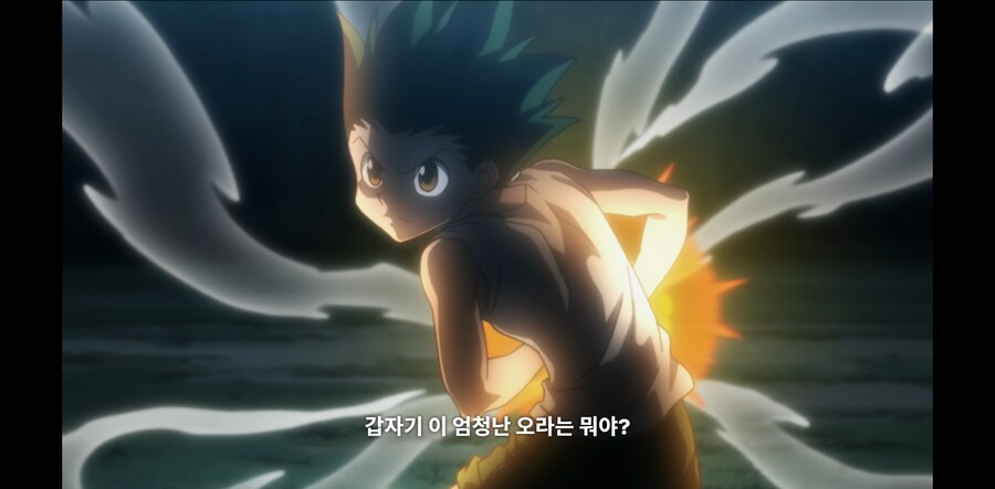 헌터X헌터) 곤도 진짜 운 존나 좋은놈인게_5.png
