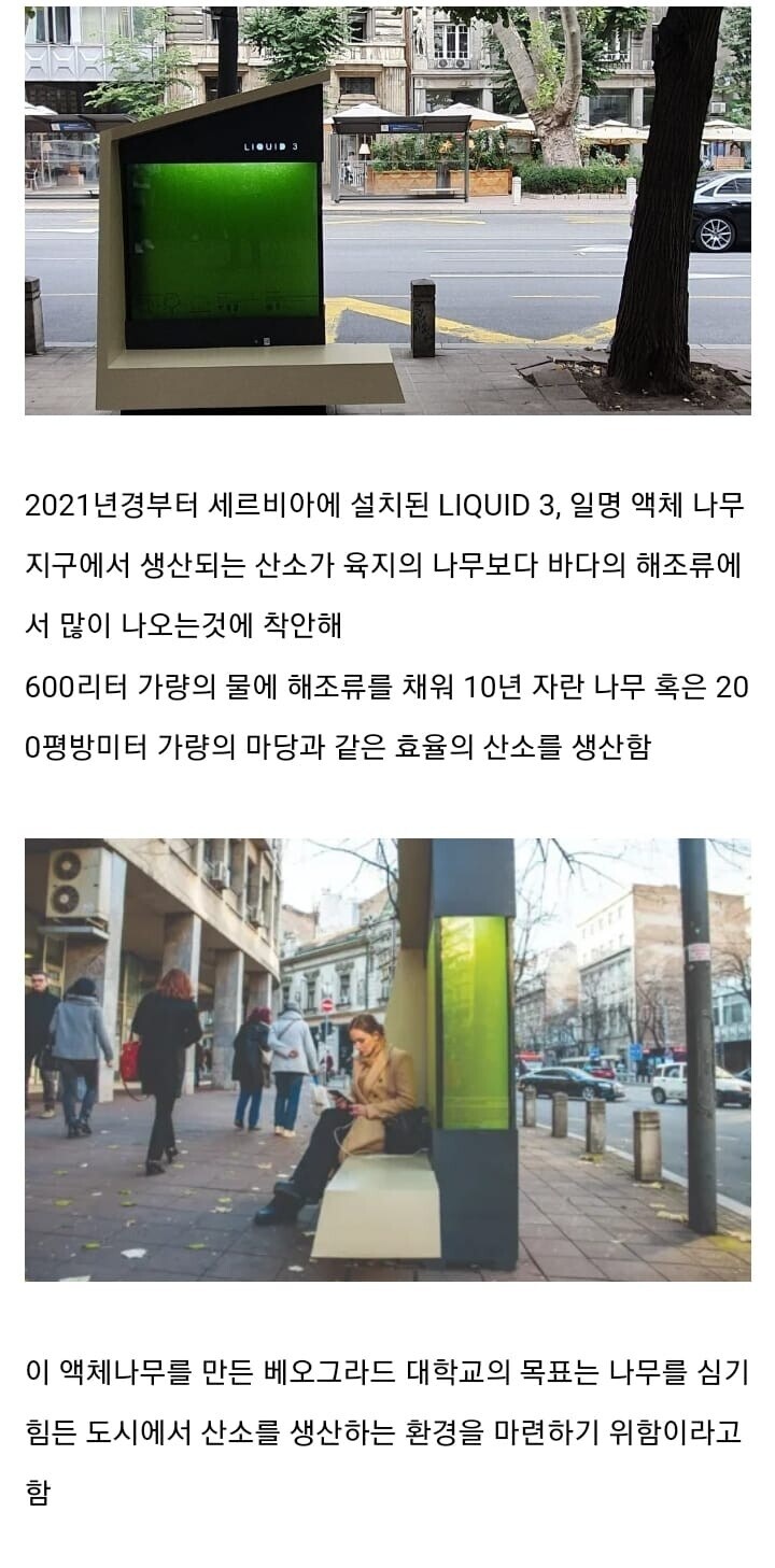 도심에 이산화탄소 포집한답시고 시험해본거_1.jpg