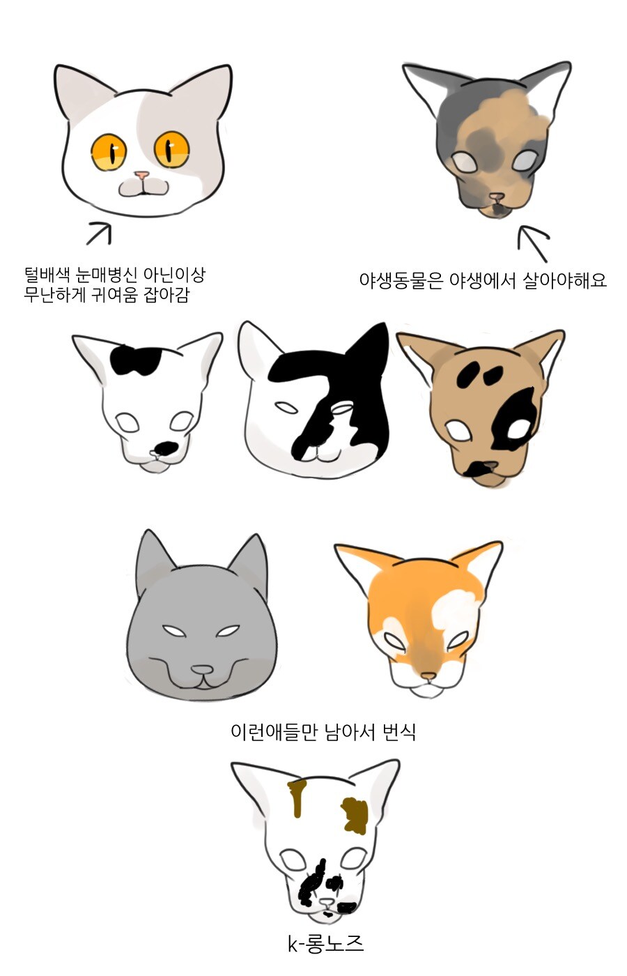 지금은 사장된 K롱노즈 설 JPG_4.jpg