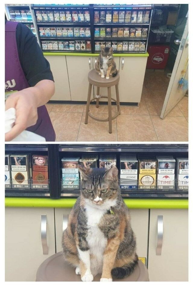 새로 뽑은 편의점 알바가 마음에 안듬_1.jpg