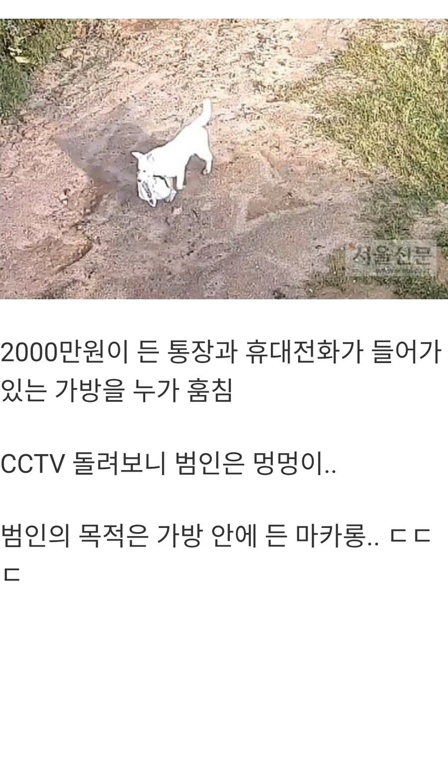 CCTV로 잡은 2000만원 절도범_1.jpg